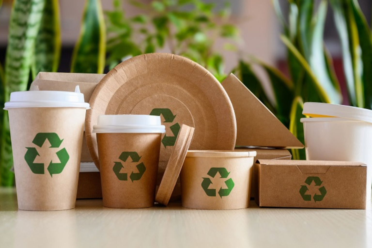 Environmental Benefits of Choosing Paper Cups Over Plastic in the UAE
